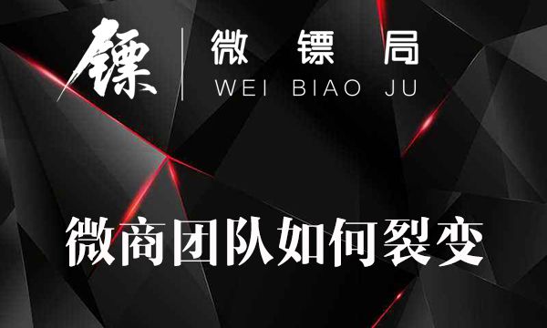 微商团队如何裂变-第1张图片-90博客网 微商团队如何裂变-第1张图片-90博客网
