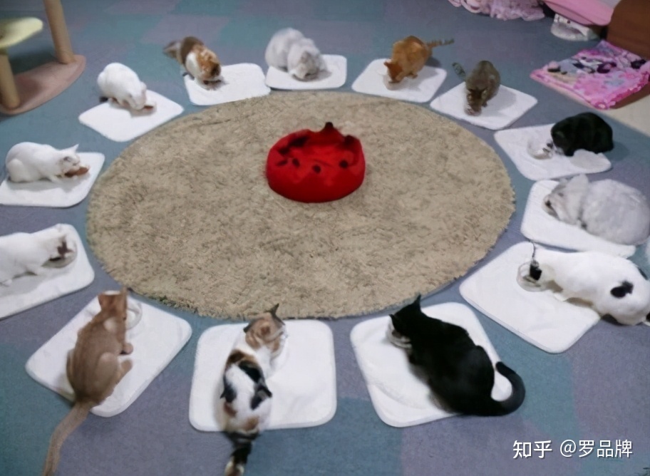 微商团队应该如何开会-第2张图片-90博客网