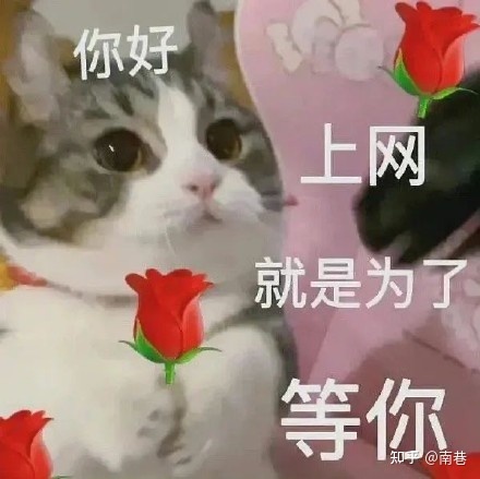 电子商务网站开发技巧？电子商务网站的分类？-第1张图片-90博客网