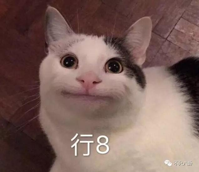 张庭微商老公有了新欢？他们的微商团队也比想象中更恐怖了-第61张图片-90博客网