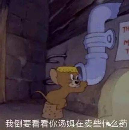 张庭微商老公有了新欢？他们的微商团队也比想象中更恐怖了-第68张图片-90博客网
