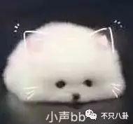 张庭微商老公有了新欢？他们的微商团队也比想象中更恐怖了-第122张图片-90博客网