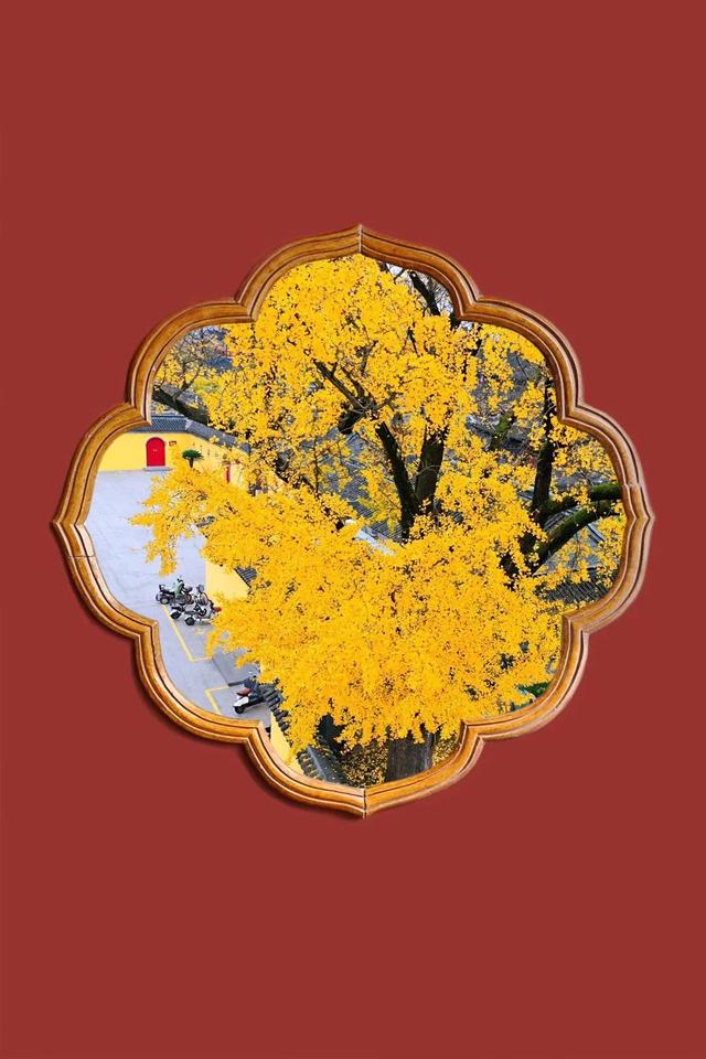 微商为什么能发展，又为什么衰落，一场商业制度和模式的大变革-第3张图片-90博客网