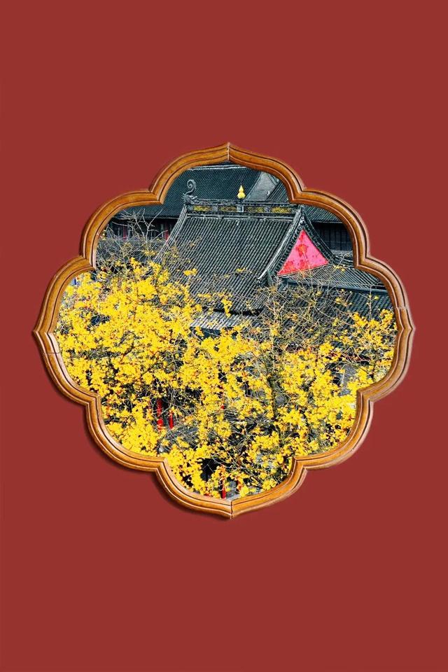 微商为什么能发展，又为什么衰落，一场商业制度和模式的大变革-第7张图片-90博客网