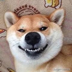 PPT难做？直接在这几个网站找模板就好了，大量免费模板随便用-第7张图片-90博客网