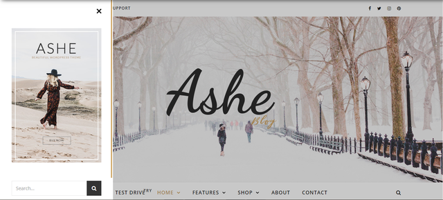 2018最新优质电商网站模板,没有比这儿更靠谱了-第5张图片-90博客网 2018最新优质电商网站模板,没有比这儿更靠谱了-第5张图片-90博客网