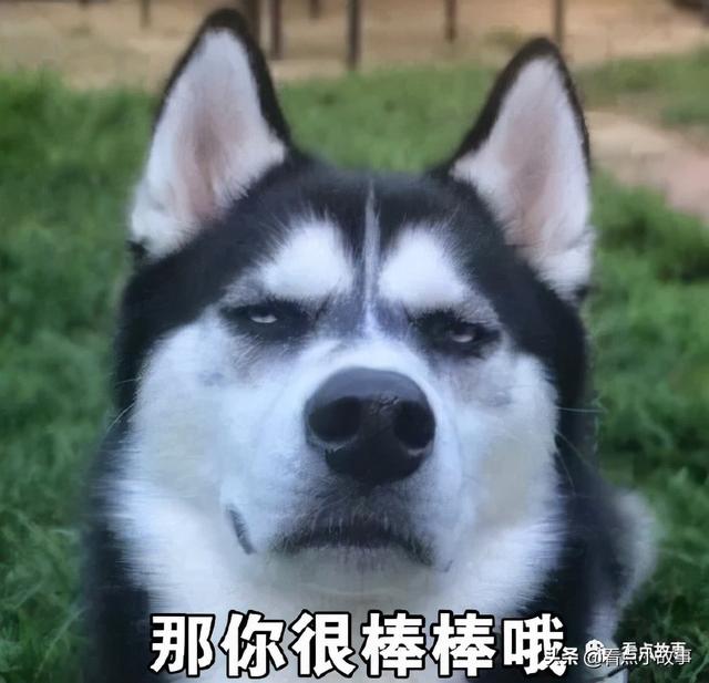 幽默搞笑故事集-第5张图片-90博客网