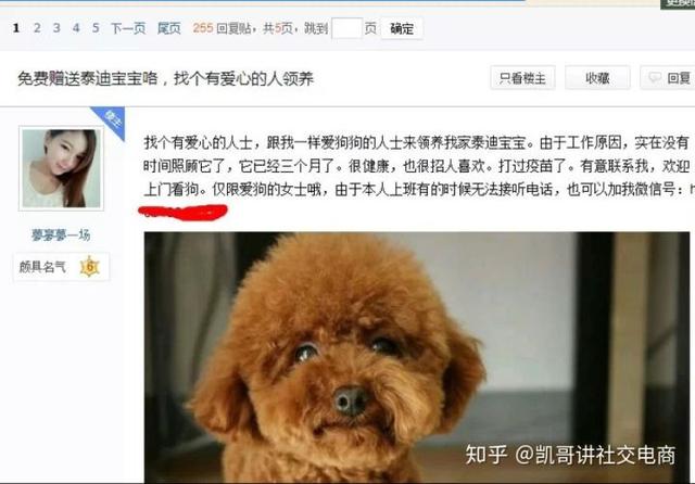 微商如何2天加3000好友？手把手教微商小白如何高效引流-第4张图片-90博客网
