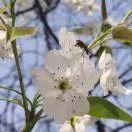 原来,这就是邳州人的“幸福里”……-第2张图片-90博客网 原来,这就是邳州人的“幸福里”……-第2张图片-90博客网