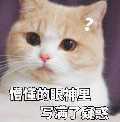 社群运营1个月转行月薪17K产品经理,他做对了什么?-第1张图片-90博客网 社群运营1个月转行月薪17K产品经理,他做对了什么?-第1张图片-90博客网
