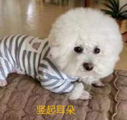 社群运营1个月转行月薪17K产品经理,他做对了什么?-第2张图片-90博客网 社群运营1个月转行月薪17K产品经理,他做对了什么?-第2张图片-90博客网