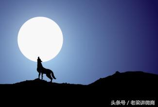 打造狼性微商团队-第1张图片-90博客网 打造狼性微商团队-第1张图片-90博客网