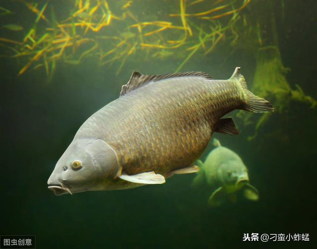 互联网新营销模式，社群6步骤-第1张图片-90博客网