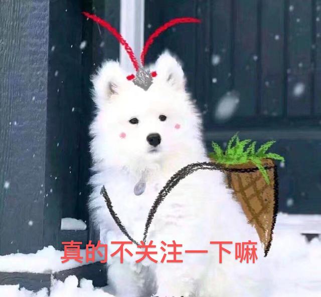 宝藏女孩冯提莫，新歌登华语金曲榜，还受邀参加流行金曲嘉年华-第9张图片-90博客网