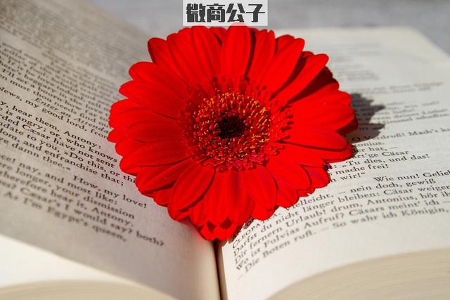 微商怎么引流？为什么我做的引流效果都不好？-第1张图片-90博客网