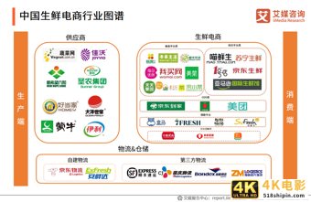 生鲜电商报告：2021年市场规模将超3000亿元，供应链成为制胜关键-第7张图片-90博客网