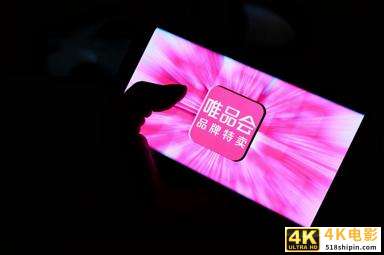 唯品会Q4财报解读：活跃用户大涨37%，股价错杀须得正名-第1张图片-90博客网
