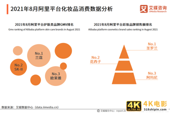 化妆品双月报：1-8月累计零售额为2462亿元，功效成分变为新追求-第6张图片-90博客网